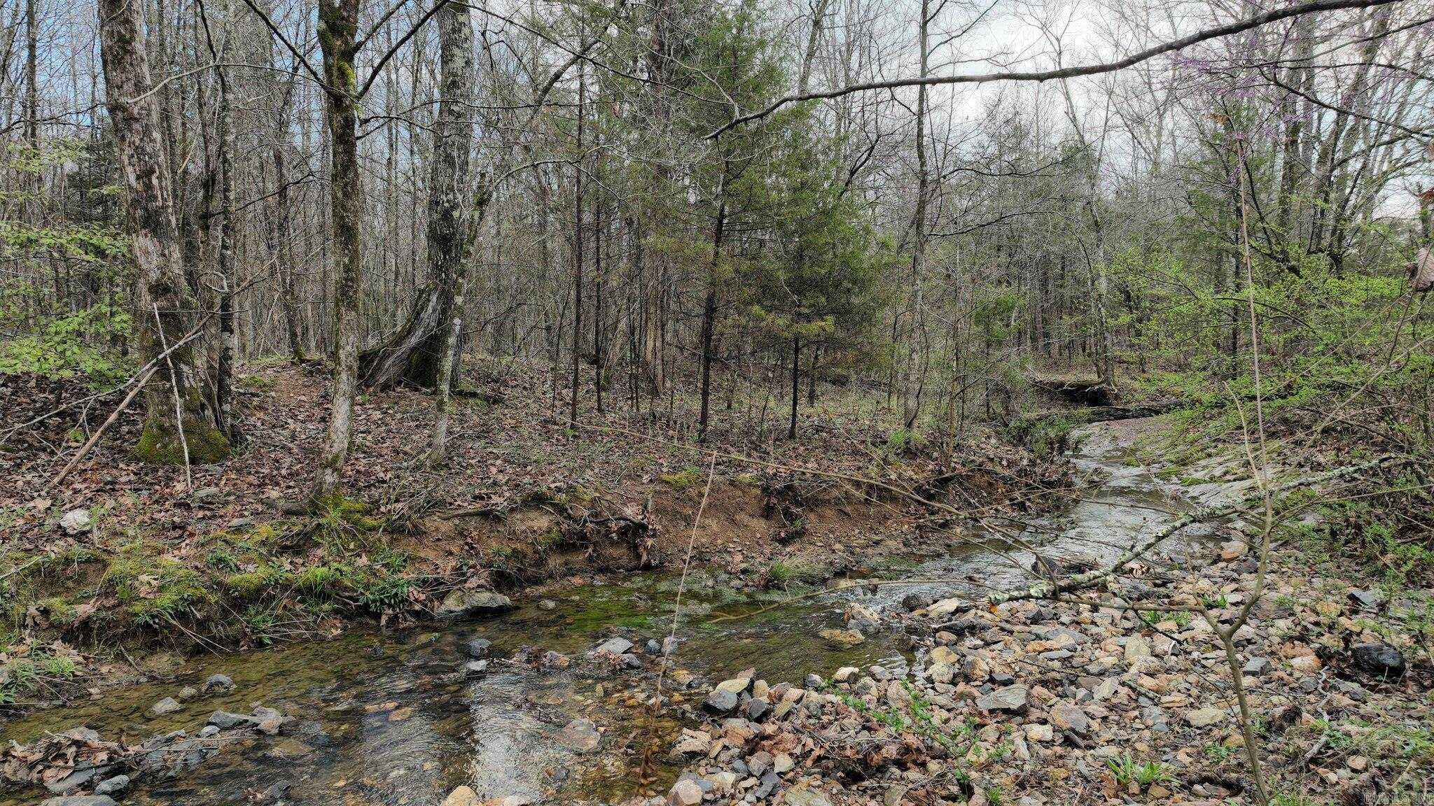 Big Fork Area - Land