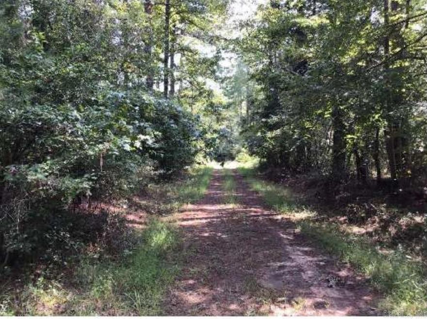 Excellent Hunting Property Offering Tons Of Privacy & A POND! Property Offers Large & Small Timber!  *Drone Footage Coming Soon*