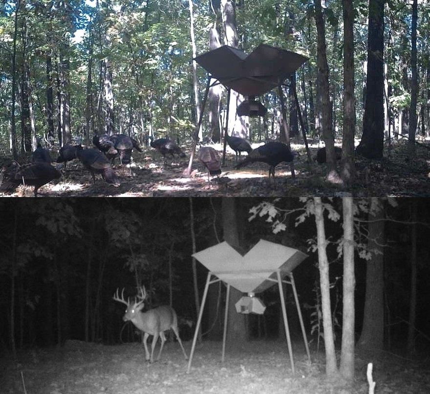 Arkansas Turkey & Deer...74 Acres +- of prime acreage within the Ozarks. Years of fabulous enjoyment near Hardy, AR can be extended to you. Escape to the natural beauty, near the live streams, tall ridges, and habitat highly suitable for all. Whether you're an avid hunter, outdoor enthusiast, or just looking for a private retreat, this property offers seclusion, natural beauty, and potential. A small open area already exists, large enough to build a cabin (off grid or with power nearby), set up camp or feed the wildlife. Call today to schedule a showing!