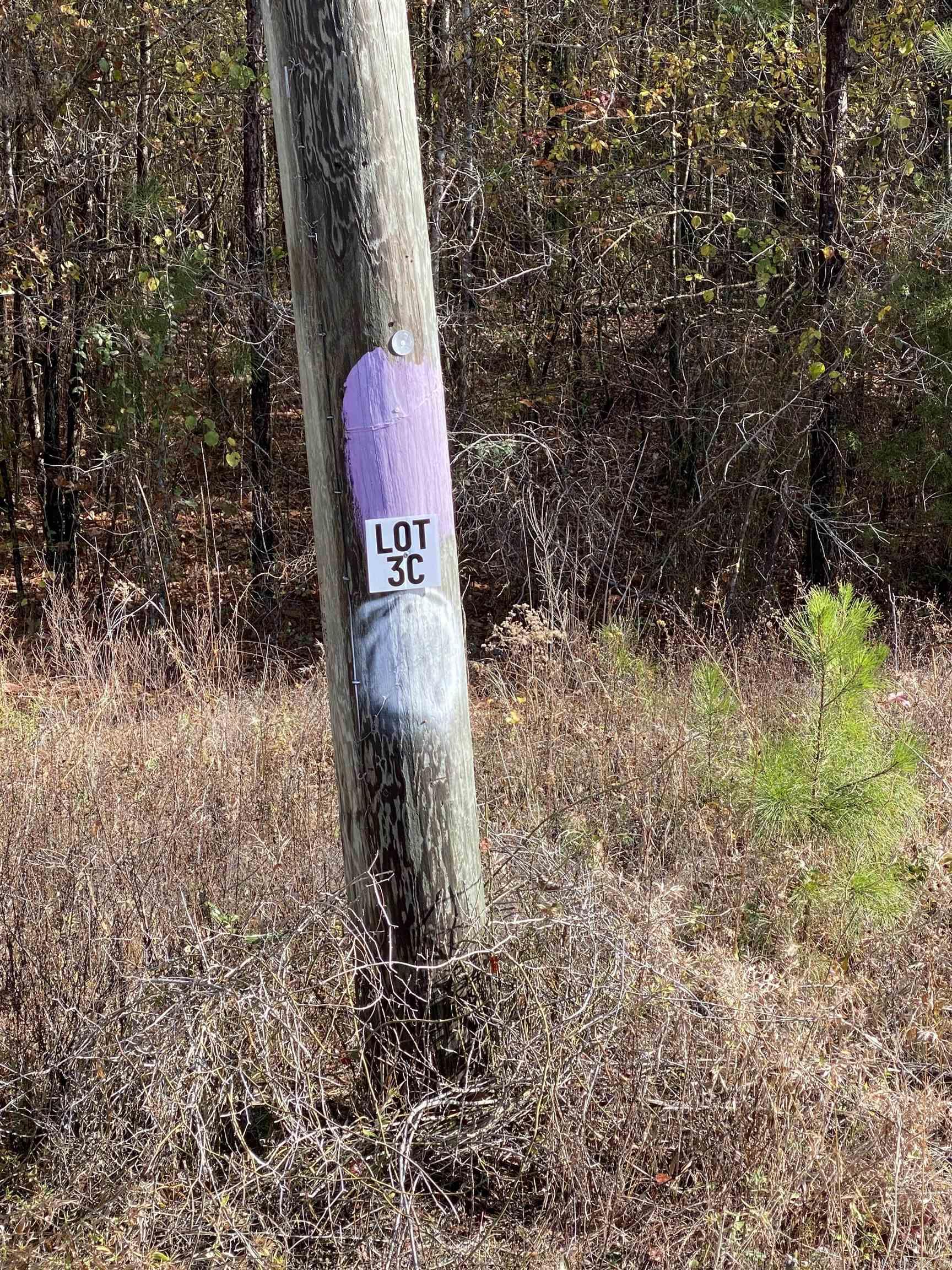Lot 3C is an approx 10-Acre Lot located in Tract C. Tract C begins on Hwy 89. Acreage is wooded and fronts Hwy 89. Lot 3C is 1 of 4 lots available for purchase in Tract C. Grand Prairie Water and First Electric at Road. Fantastic opportunity for a spacious home place, duplexes, triplexes, and/or quadplexes. Take a drive out to see this lot or the other lots listed. See Agent Remarks.