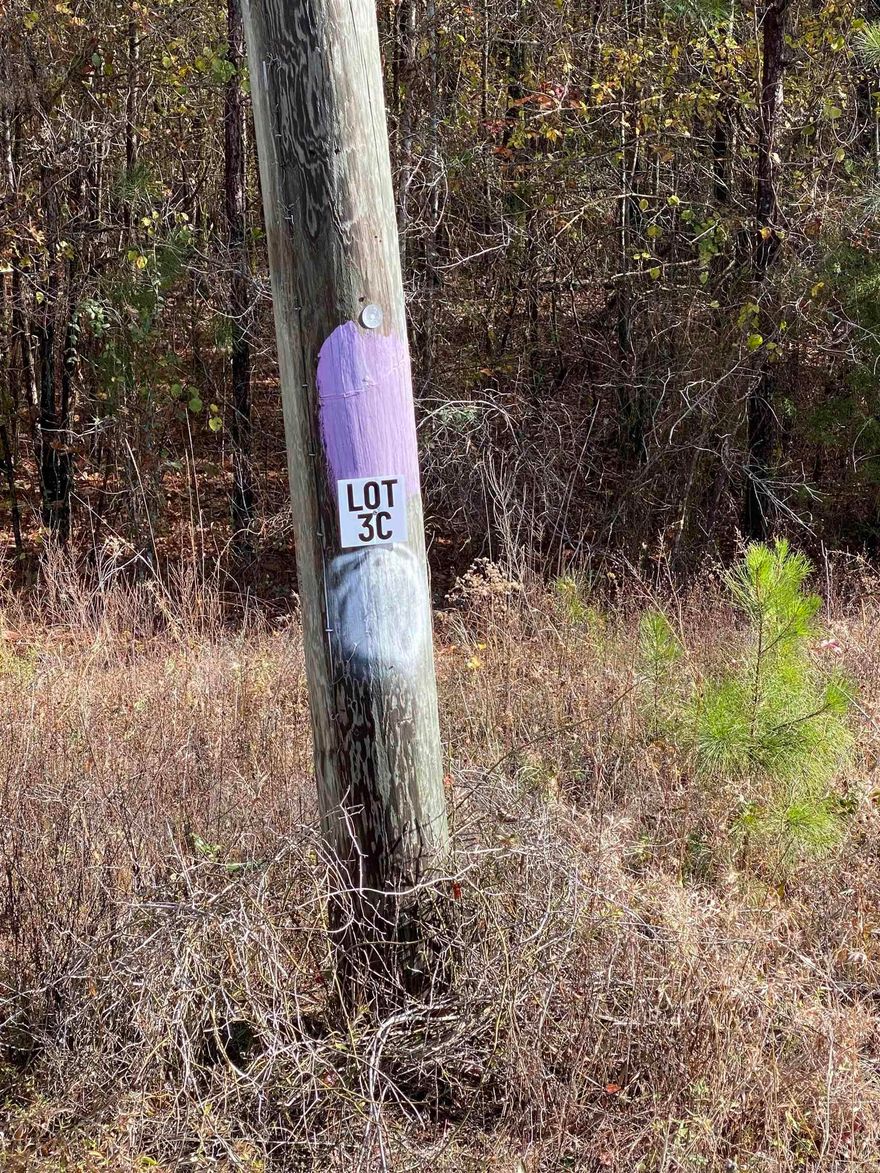 Lot 3C is an approx 10-Acre Lot located in Tract C.  Tract C begins on Hwy 89.  Acreage is wooded and fronts Hwy 89.  Lot 3C is 1 of 4 lots available for purchase in Tract C.  Grand Prairie Water and First Electric at Road.  Fantastic opportunity for a spacious home place, duplexes, triplexes, and/or quadplexes.  Take a drive out to see this lot or the other lots listed. See Agent Remarks.