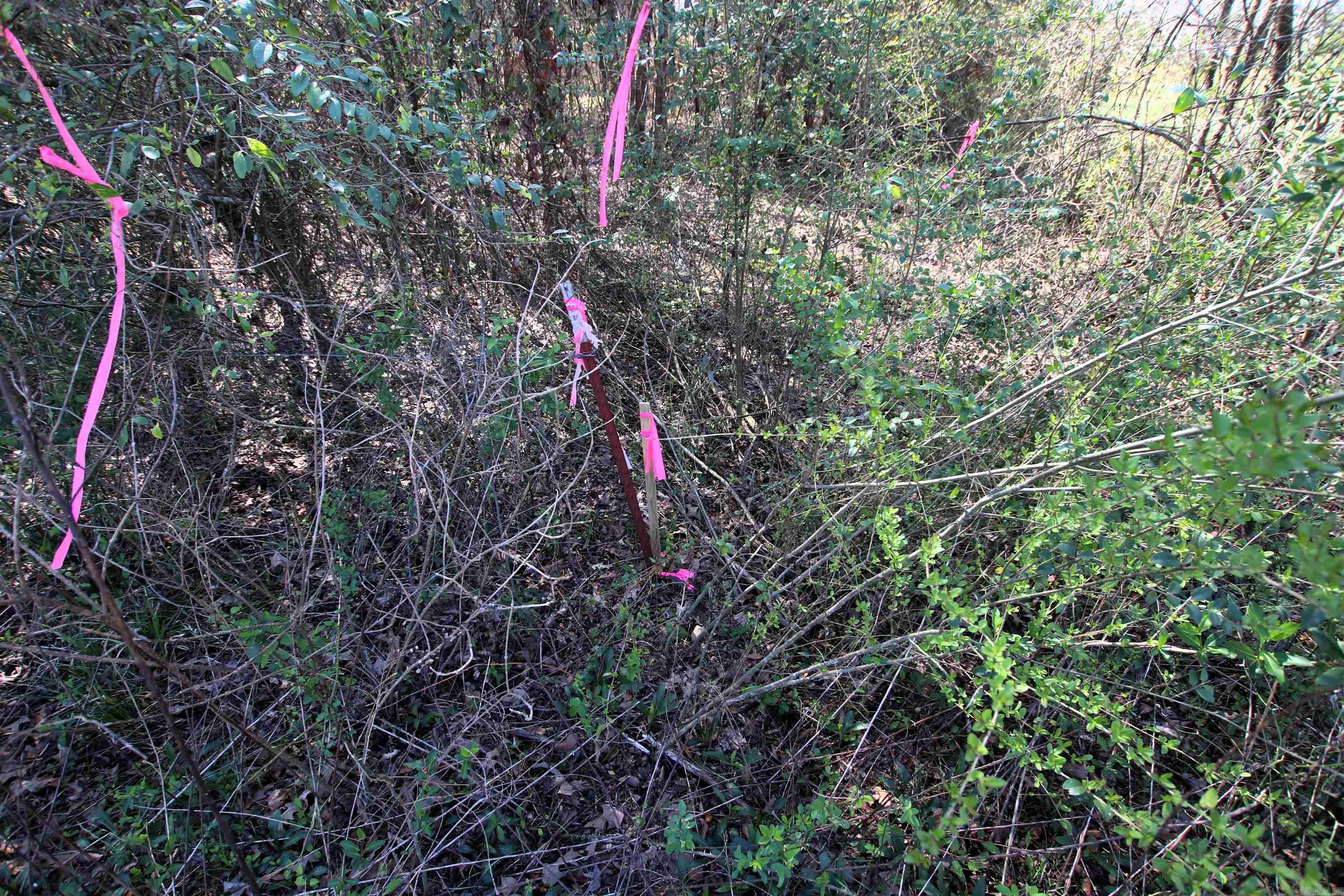 Metes & Bounds - Land