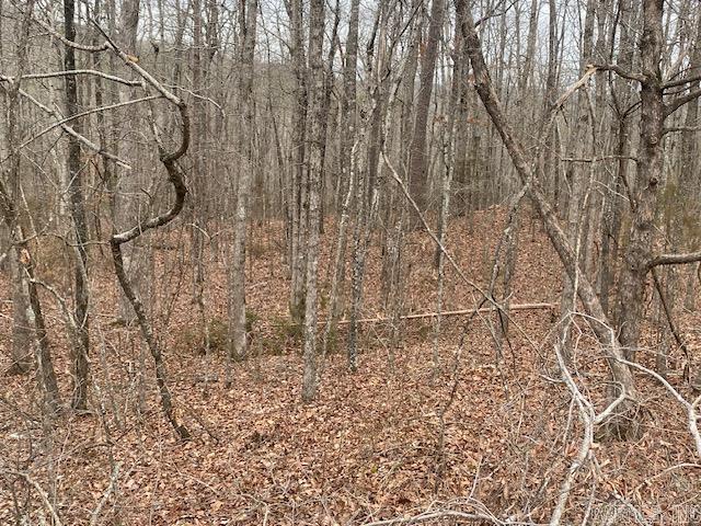2.75 acre lot in the beautiful Holley Mountain Airpark set in Arkansas's Ozark Mountains. 4800 x 50 Runway, GPS and lighting. Close to Greer Ferry lake with many amenities: biking, swimming, Golf, and fishing to name a few. 15 minutes away from Clinton for shopping, restaurants and Hospital with a helipad. Minutes from Hwy 65 to take a trip to Branson, Missouri. Property is close to gate at park entrance makes for easy excess.The back of Property has a rock brook that follows the property line. Have to see to enjoy the beauty of this Airpark. This is a gated community and will require key for gate access to get in. I can make arrangements. see agent remarks (Lot is one of three adjoining lots that can be sold together or separately).