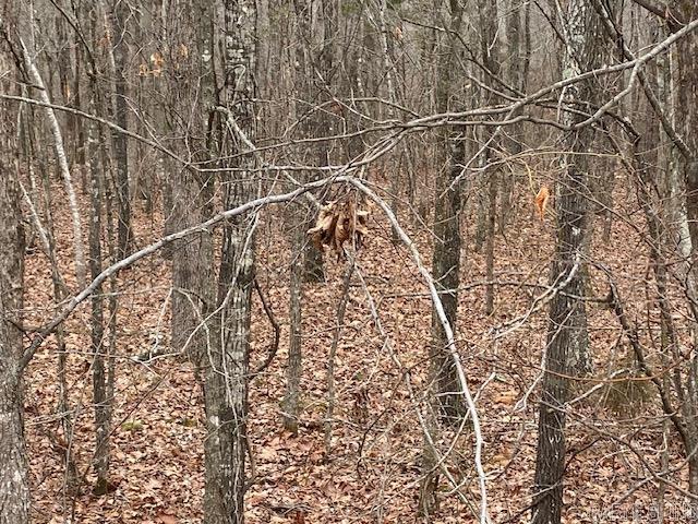 Holley Mountain Airpark - Land