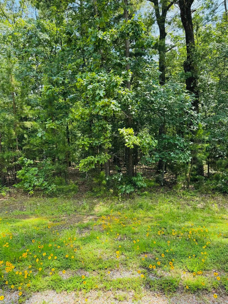 Are you dreaming of retreating to the beautiful Little Red River? This picturesque land is the perfect place to build your cozy dream home. Escape the hustle and enjoy a quiet community that offers a private community pool, boat ramp and dock on the Little Red River and minutes away from Greers Ferry Lake! This gated community offers modern amenities, access to hiking trails, boating, swimming and world-record trout fishing. Access to all the Natural State has to offer is only an offer away. Let us make your dream a reality!