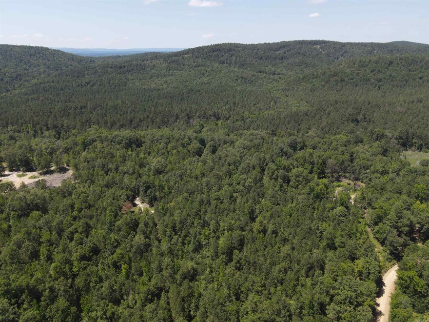 Escape to your own private retreat with this beautiful 6.22 acre tract offering peace, privacy, and endless potential. With multiple ideal home sites, this property is ready for your dream home. Utilities are conveniently accessible with electric, Kimzey water, and fiber optic available at the road, just add septic. Nature lovers will appreciate the abundant wildlife, including deer, turkey, and even the occasional bear, thriving on land that has been preserved for generations. The balance of untouched plant and animal life makes this a true haven. Perfectly located just 20 minutes from both Hot Springs and Lake Degray you can enjoy the best of both worlds, quiet country living with easy access to town, lakes and recreation. Please note: Picture highlighting the tract is approximate. See survey for dimensions of the property. The county maintains the road. Seller does not own mineral rights. Cameras are in use. Contact listing agent for more details and to schedule your private showing.