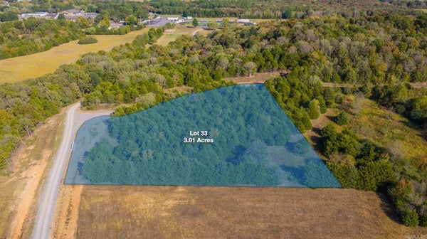 ADDRESS PRIVATE, QUITMAN, AR  - Image a476cf51f919ff097dfdf7eb74c822c7/1176603770