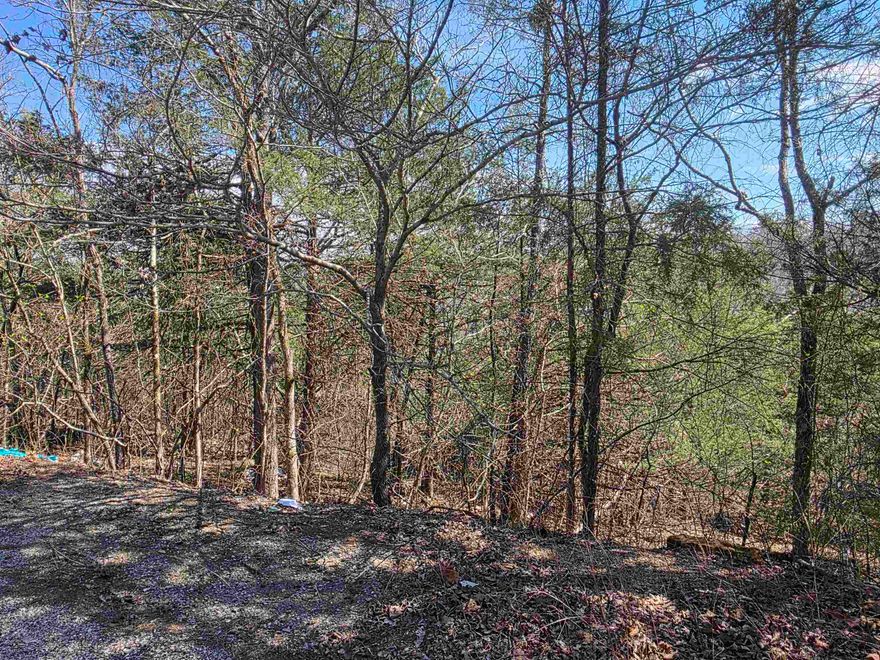 Nice lot with at the end of a Cul-De-Sac. this lot has a front to back downward slope. Lots of trees and lots of nature and wildlife. Come check this lot out, check out the view and see where you want to put your vacation home or your forever home. Retire here and fish 7 different lakes and golf 2 different 18-hole golf courses. Don't forget about the beautiful South Fork River that flows right through the Village. Shop in Old Hardy town and trout fish the Spring River. That's living the Cherokee Village lifestyle.