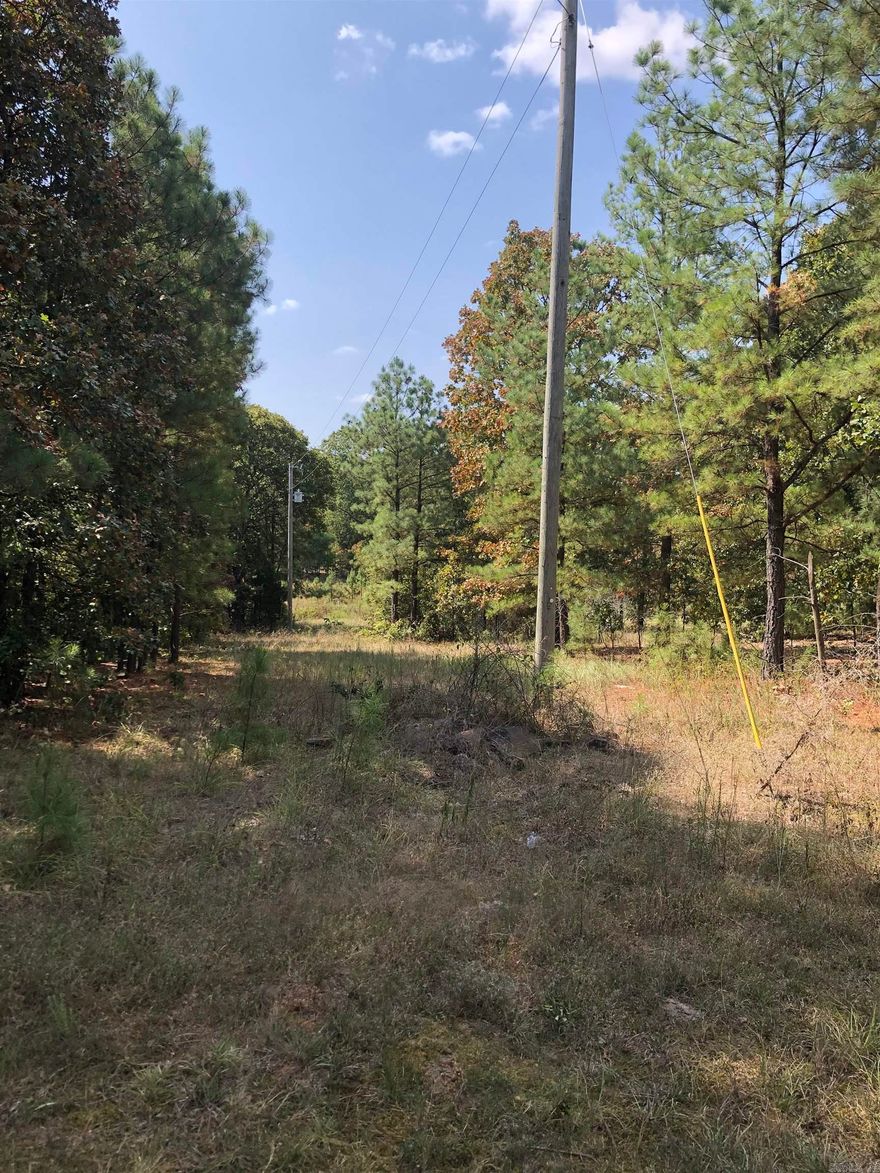 83.9 Wooded acres in Pulaski County with Cabot address. Great place to build a home and have your own hunting club.