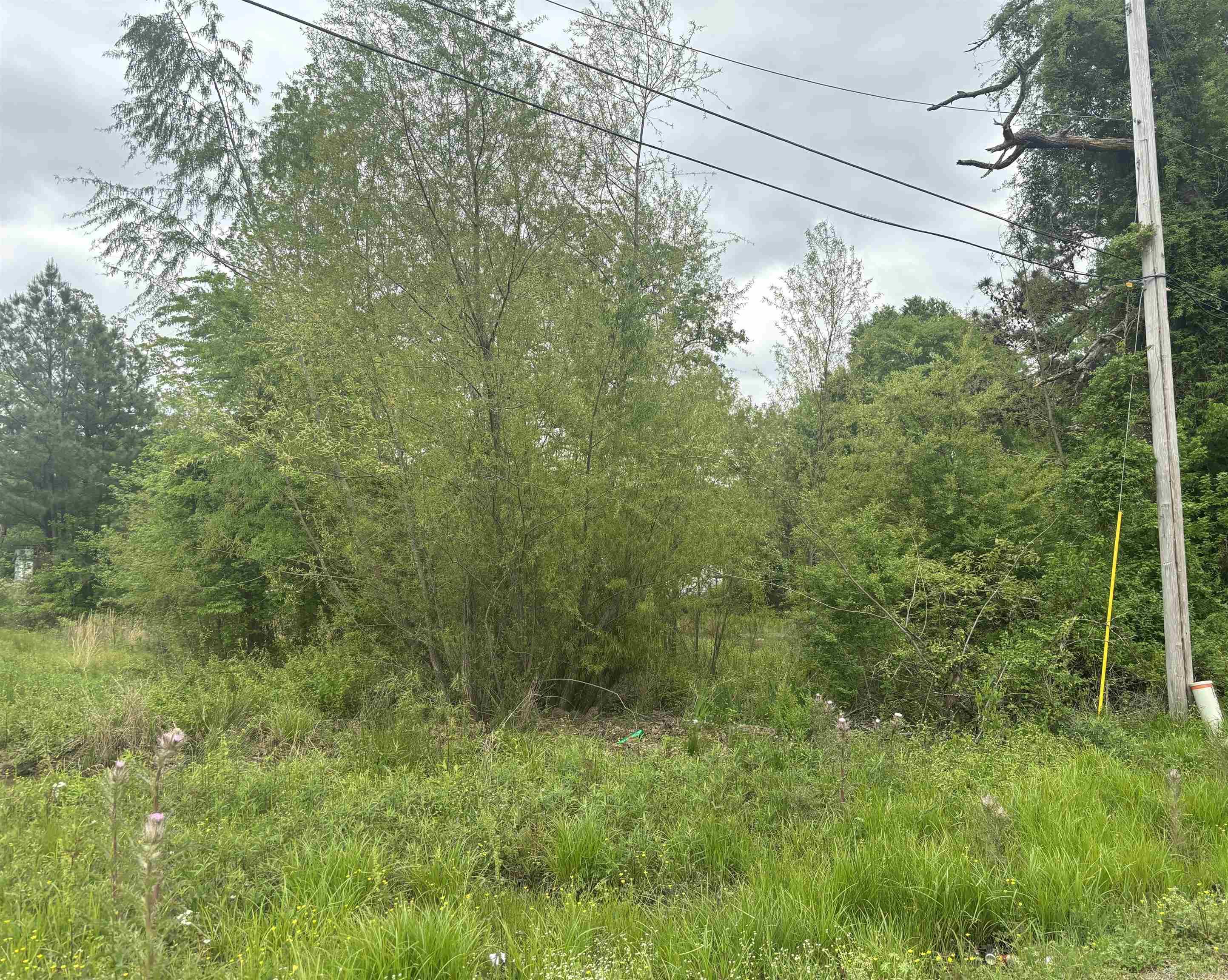 High traffic count great corner lot. Good location for a gas station or multifamily or a business.