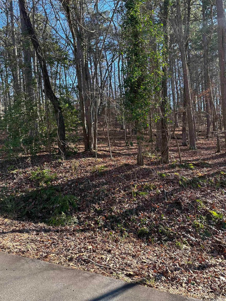 Wooded, vacant lot in an established West end HSV neighborhood. Central to restaurants, golf, trails, lakes, and more HSV amenities! Note to Buyers: there is a POA New Member Buy-In Fee required at closing.
