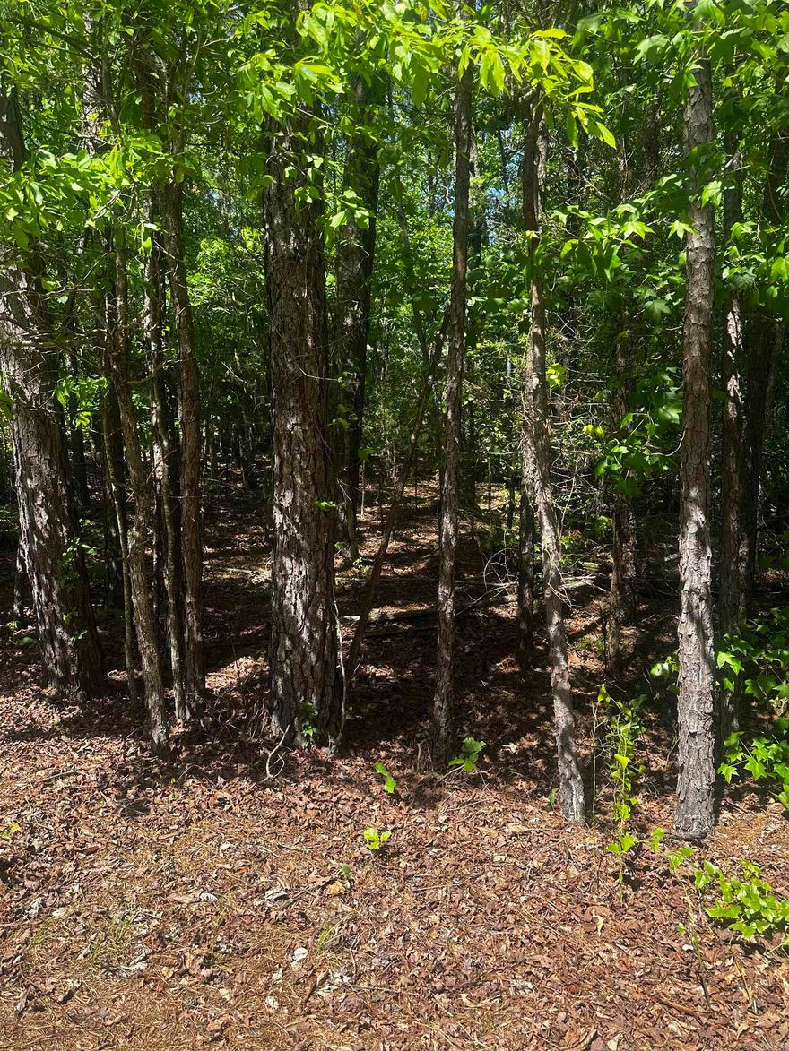 Beautiful spacious corner lot to build your dream home! This one is flat and close to Lake Balboa beach, The Woodlands, hiking trails, golf and more!  Call today for more information about building your dream home in Hot Springs Village!