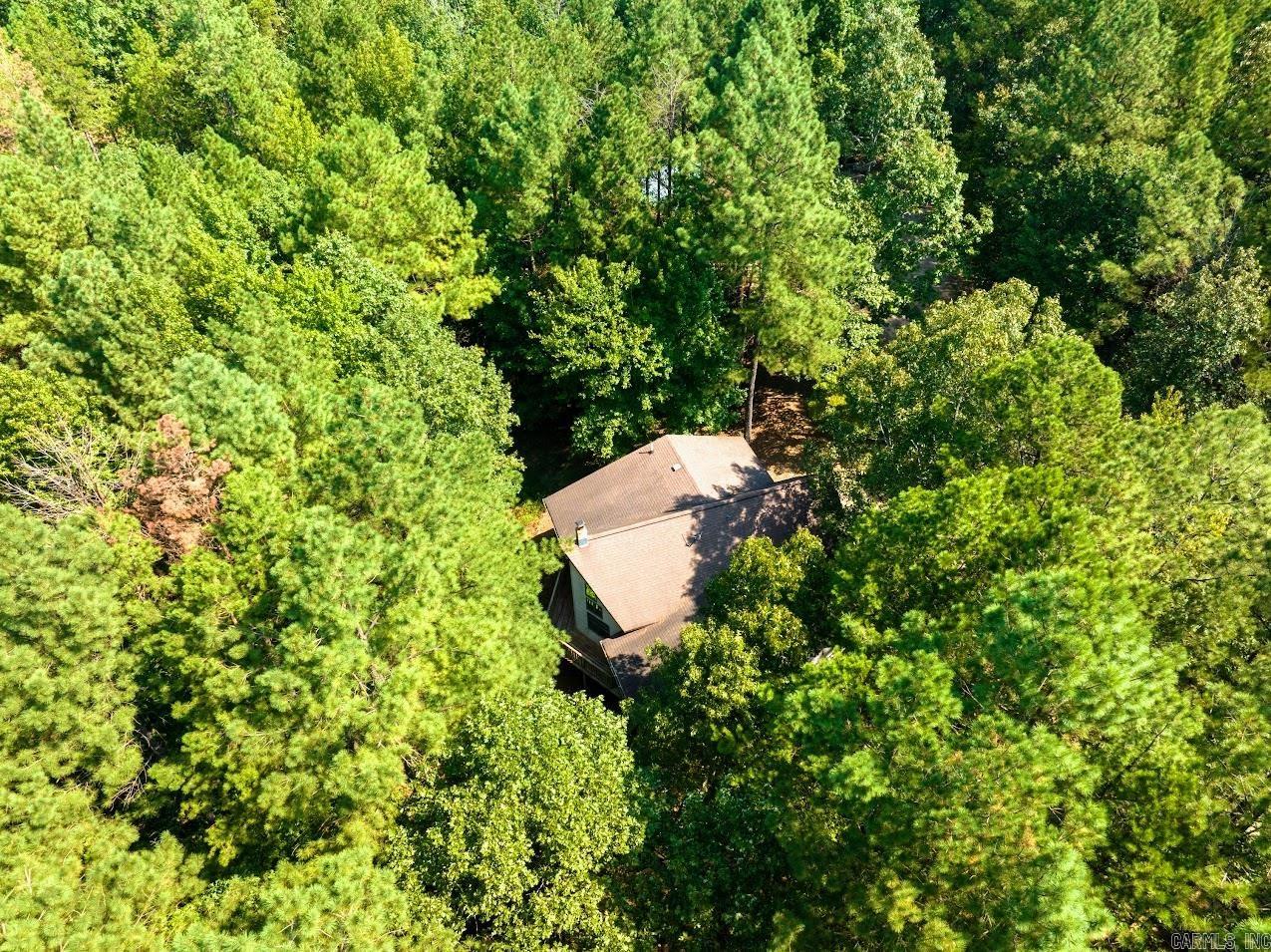 Just 9 minutes to Lake Ouachita!! Quiet, peaceful setting surrounds this beautiful custom built 5 Bedroom 3 Bath home sitting on 3.17acres bordering the Ouachita National Forest with live stream at back of property. Vaulted ceilings with pine beams in Living area, loft area, large eat in Kitchen with Ash Cabinets with roll out shelves and drawers, pantry, tons of storage. Master Suite and guest room on main level, lower level has large family room and 3 Bedrooms, 1 Bath, 4x14 saferoom/storage. Plus, detached 4 car garage. 14x16 RV pad w/hookup, 24x42 workshop with 120 & 220 Electric with bathroom and minnow tank. This Entergy efficient home consist of GEO thermal heating and cooling, Radiant heat flooring, Anderson thermal panel crank windows, exterior cement board siding, wood burning stove downstairs. Would be a great potential for nightly rental. Don't miss this great opportunity to be near Lake Ouachita!!