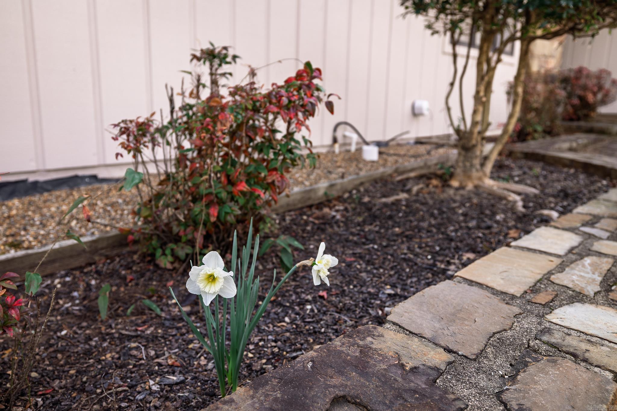 ALMENDRA - Residential