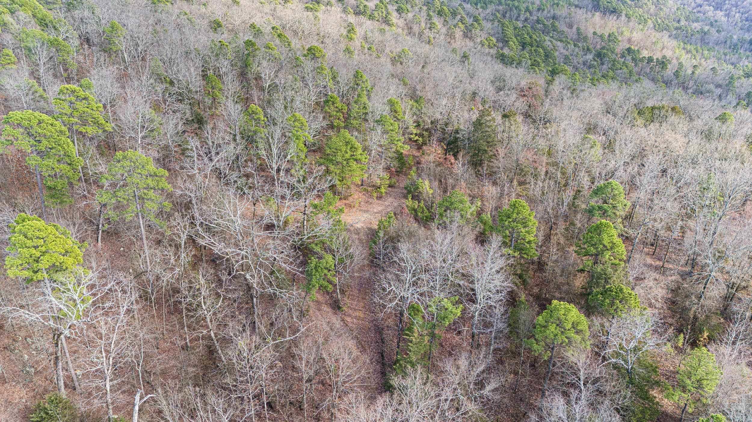 Metes & Bounds - Farm