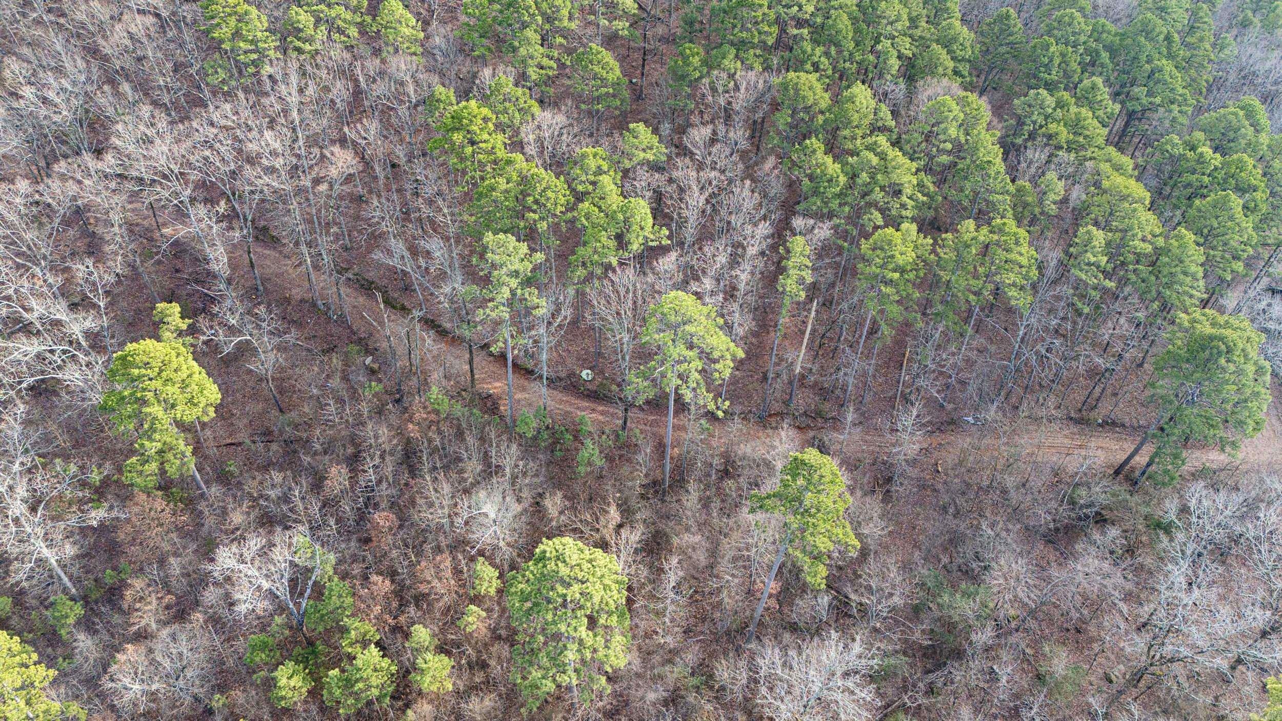 Metes & Bounds - Farm