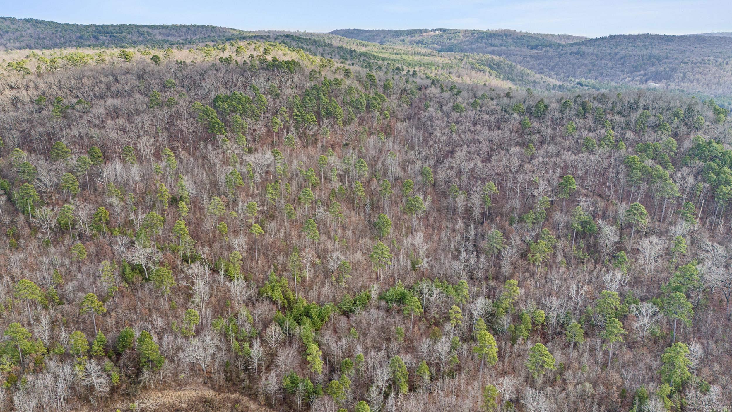 Metes & Bounds - Farm