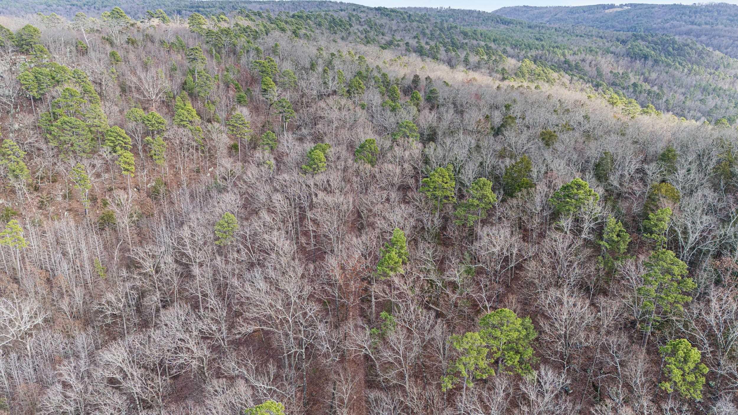 Metes & Bounds - Farm