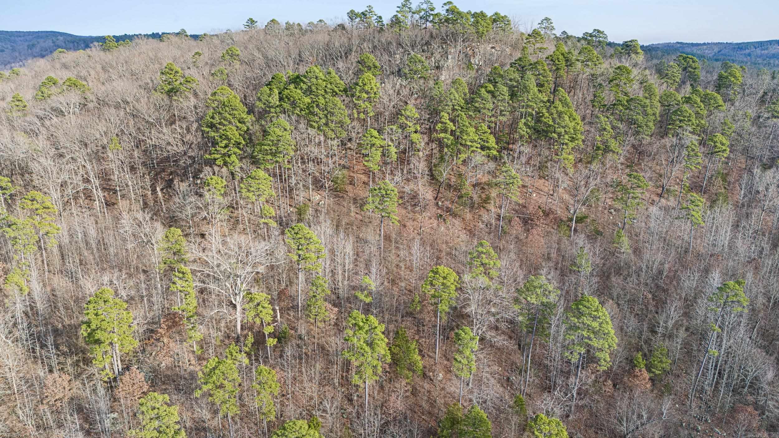 Metes & Bounds - Farm