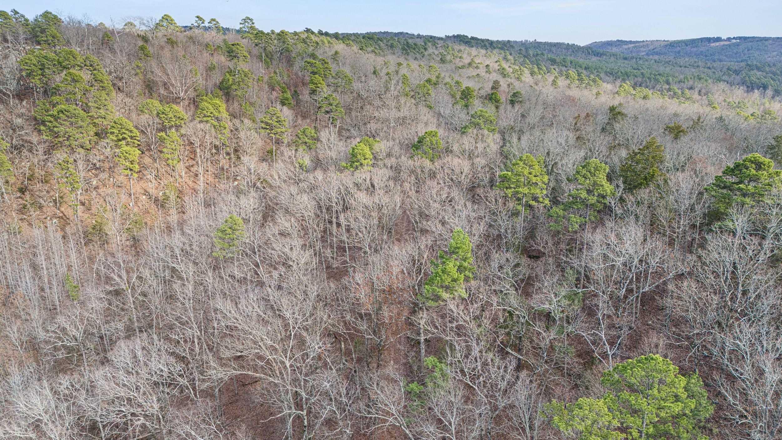 Metes & Bounds - Farm