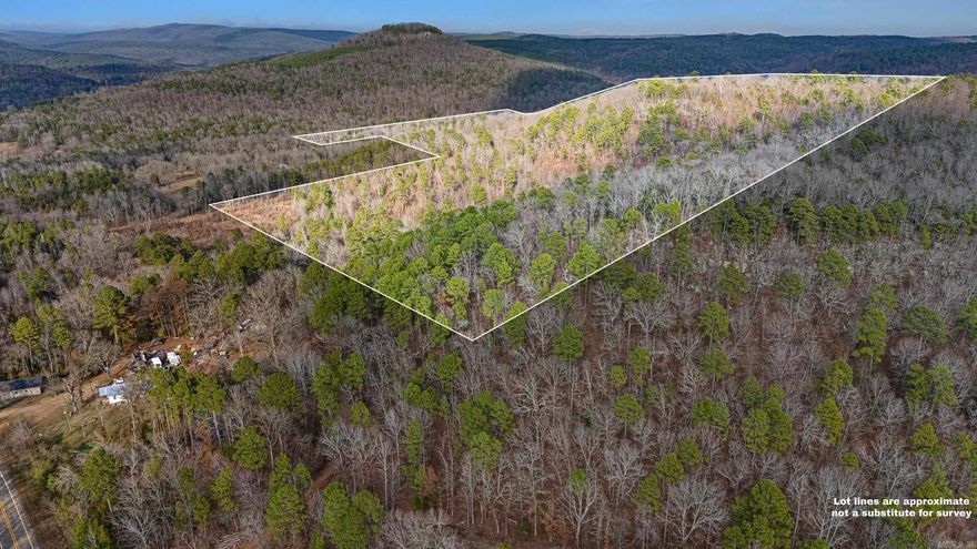 124 Acre Timber Tract in Dover, AR Discover a prime 124-acre timber tract in the heart of the Arkansas Ozarks, just outside Dover. This property offers a rare blend of seclusion, natural beauty, and accessibility, making it an ideal spot for recreation, hunting, or a future getaway. • Mature timber throughout the property • Road system in place for easy access • Exceptional views of the surrounding mountains • Abundant wildlife, perfect for hunting and outdoor enthusiasts • Less than a mile from the Illinois Bayou and the Ozark St. Francis National Forest Whether you're looking for a private retreat, hunting land, or a long-term investment, this property has it all. Don't miss out on this incredible opportunity!