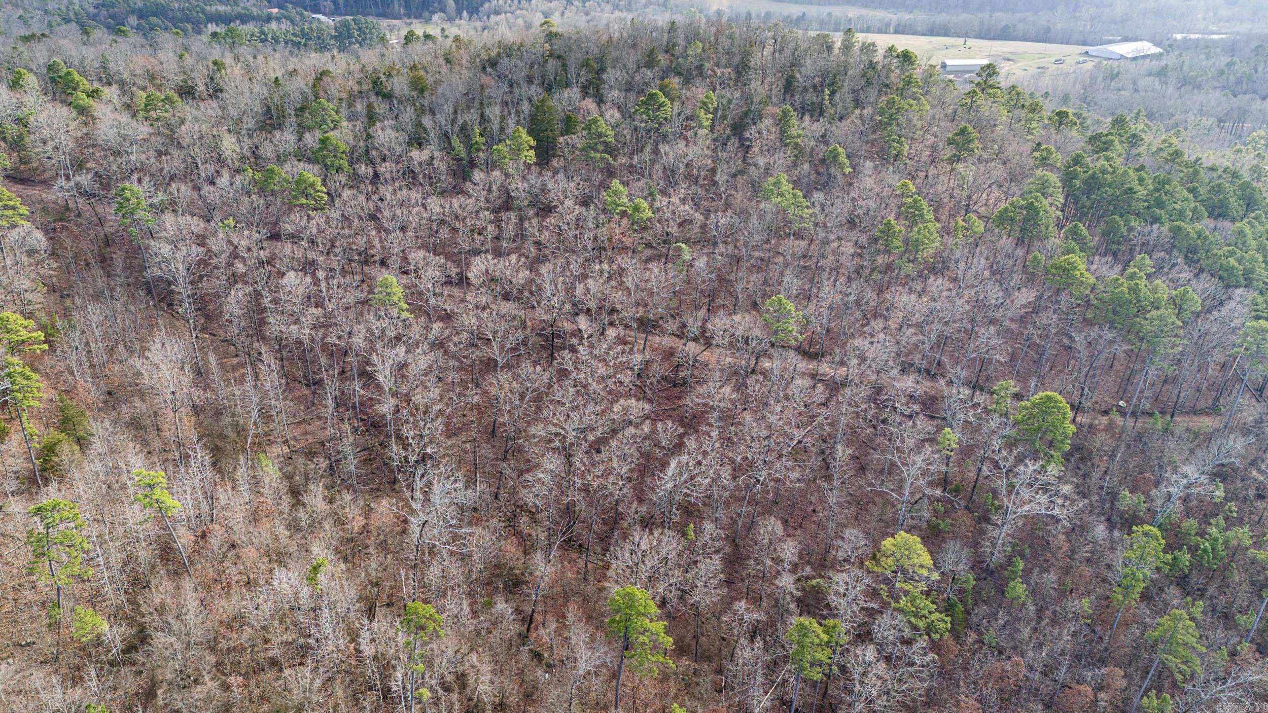 Metes & Bounds - Farm