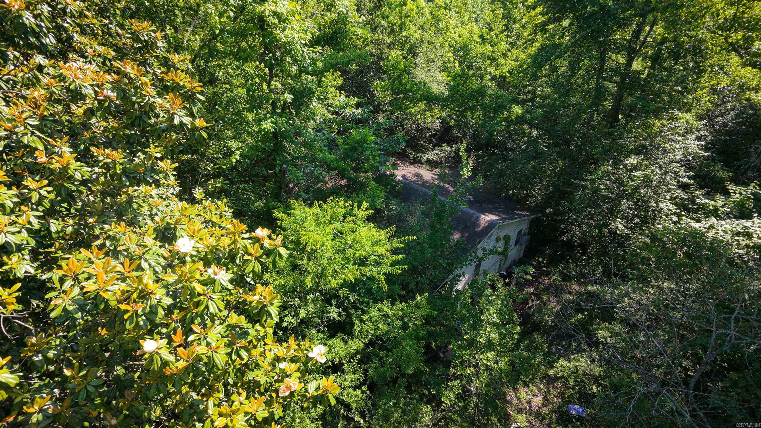Cane Creek Mini-Farms - Land