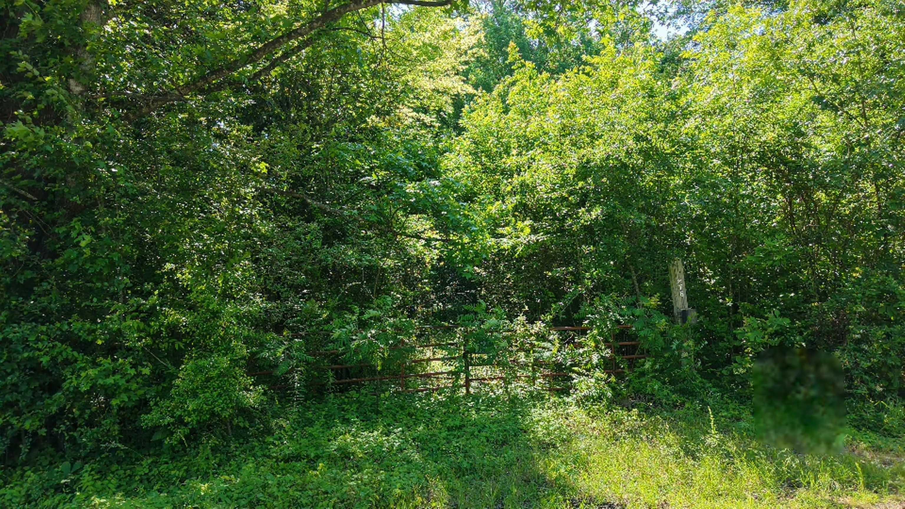 Cane Creek Mini-Farms - Land