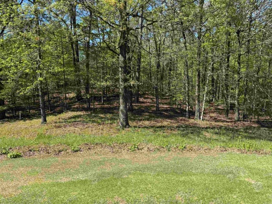20 PRINCESA DR, HOT SPRINGS VILLAGE, AR 71909 - Image a4f47c14549f2c3dc41d8b2fd4828bb3/1724503236