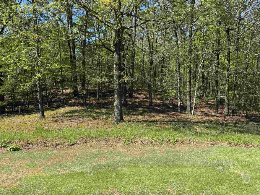 Beautiful private golf course lot on #2 Tee!! Diamante subdivision & country club is home to Golf Digest #3 ranked AR golf course. Club amenities include world class tennis & pickleball, a private swimming pool & a wide array of dining & social events. Property owners receive 3 free rounds of golf each month for family & friends. HSV is America’s largest gated community encompassing 26,000 acres, over 30 miles of walking trails, 9 golf courses and 11 lakes for fishing & boating. HSV is 15 miles from historic Hot Springs National Park and Oaklawn Racing Casino Resort. HSV POA has a buy-in fee of $2,000 for property owners new to HSV.