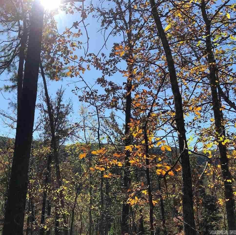 Primrose Creek Sayles - Land