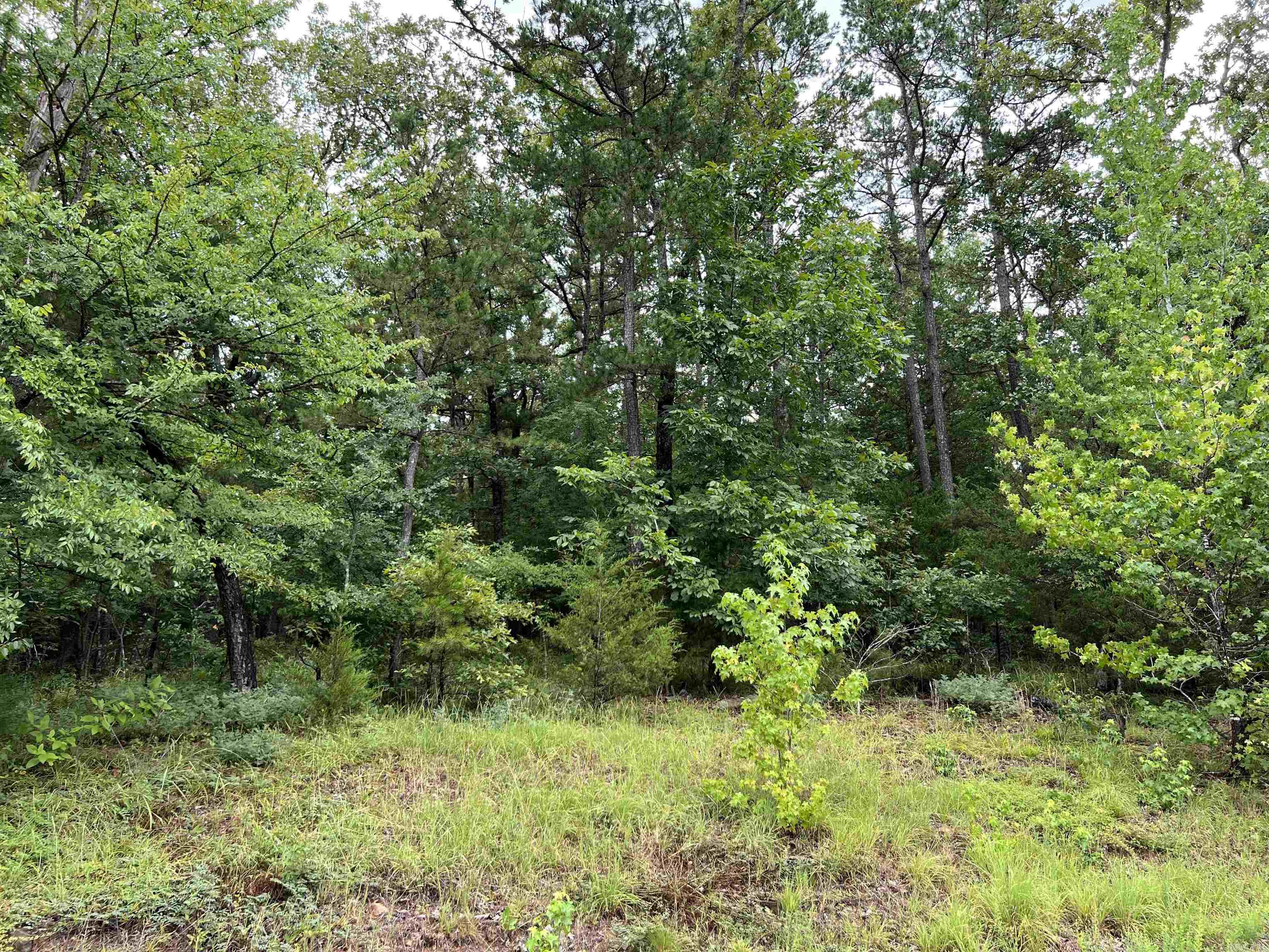 Primrose Creek Sayles - Land
