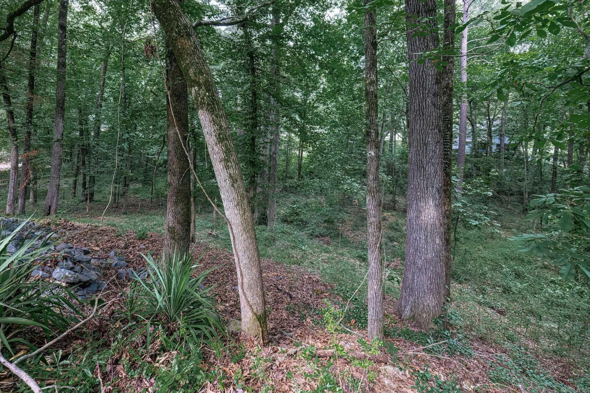 Pine Hills Park - Residential