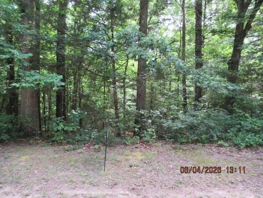 100 DAVE CREEK PKWY, FAIRFIELD BAY, AR 72088 - Image a53bfe56ea4788207ea3649d1a72dcef/1063338964