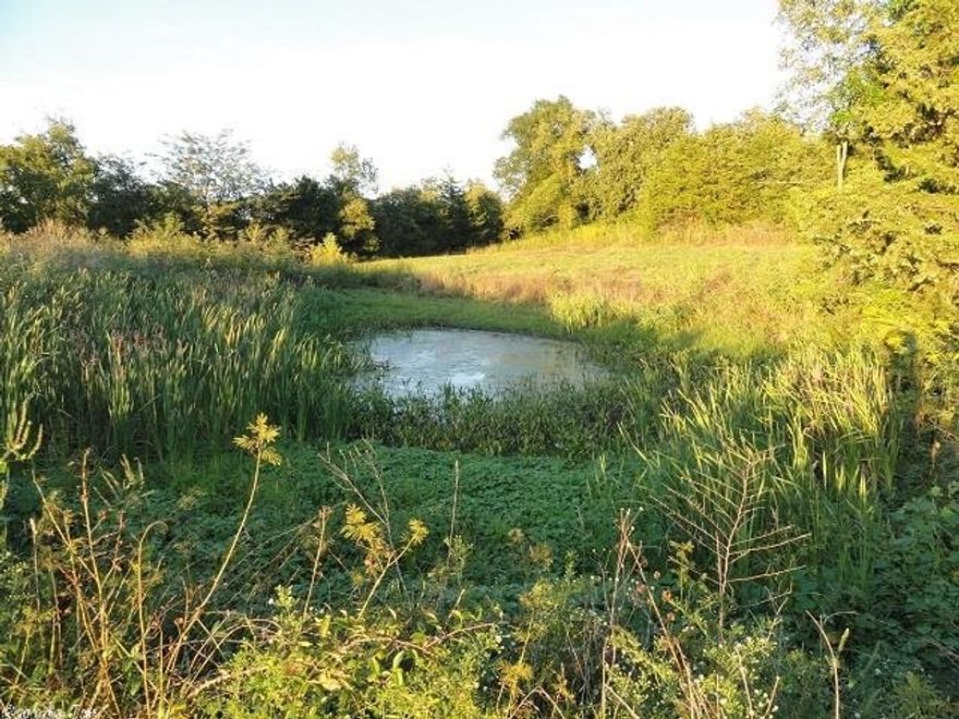 65 acres within 3 miles of Marshall. Pond, 8-10 cleared in pasture. The pasture is fenced with the rest in timber (some marketable), deer, bear, turkeys, squirrel, rabbits, coons and armadillos. Yes that is correct. All the wildlife you need if you are a hunter. Several building sites for a cabin or new home. Rural water and electric at the road. The top of the hill would have some great views if you would clear some of the trees away.