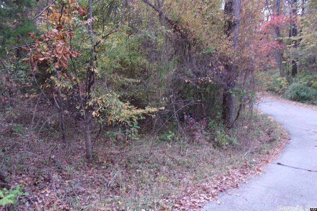 Discover the perfect spot for your future getaway or forever home in this charming subdivision. This desirable corner lot offers a peaceful setting with a lovely view of a nearby pond. City water and electric are already available, making it easier to start building. Just minutes from the world-renowned White River and stunning Bull Shoals Lake, you'll have endless opportunities for fishing, boating, and enjoying the natural beauty of the Ozarks. Whether you're looking to invest, build, or escape the hustle and bustle, this affordable $7,650 lot is a rare find with big potential.