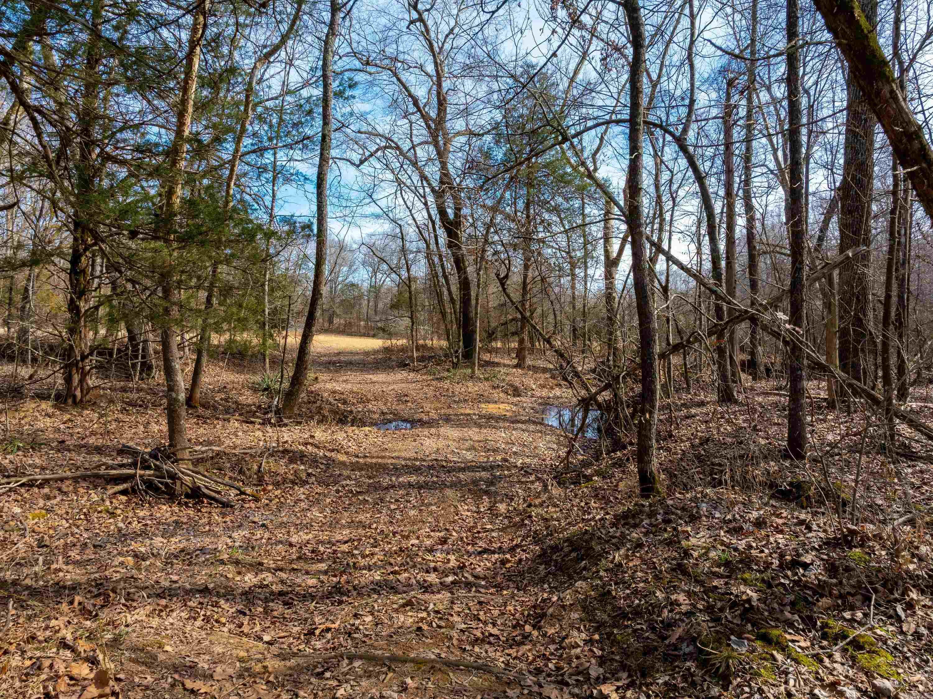 Metes & Bounds - Land