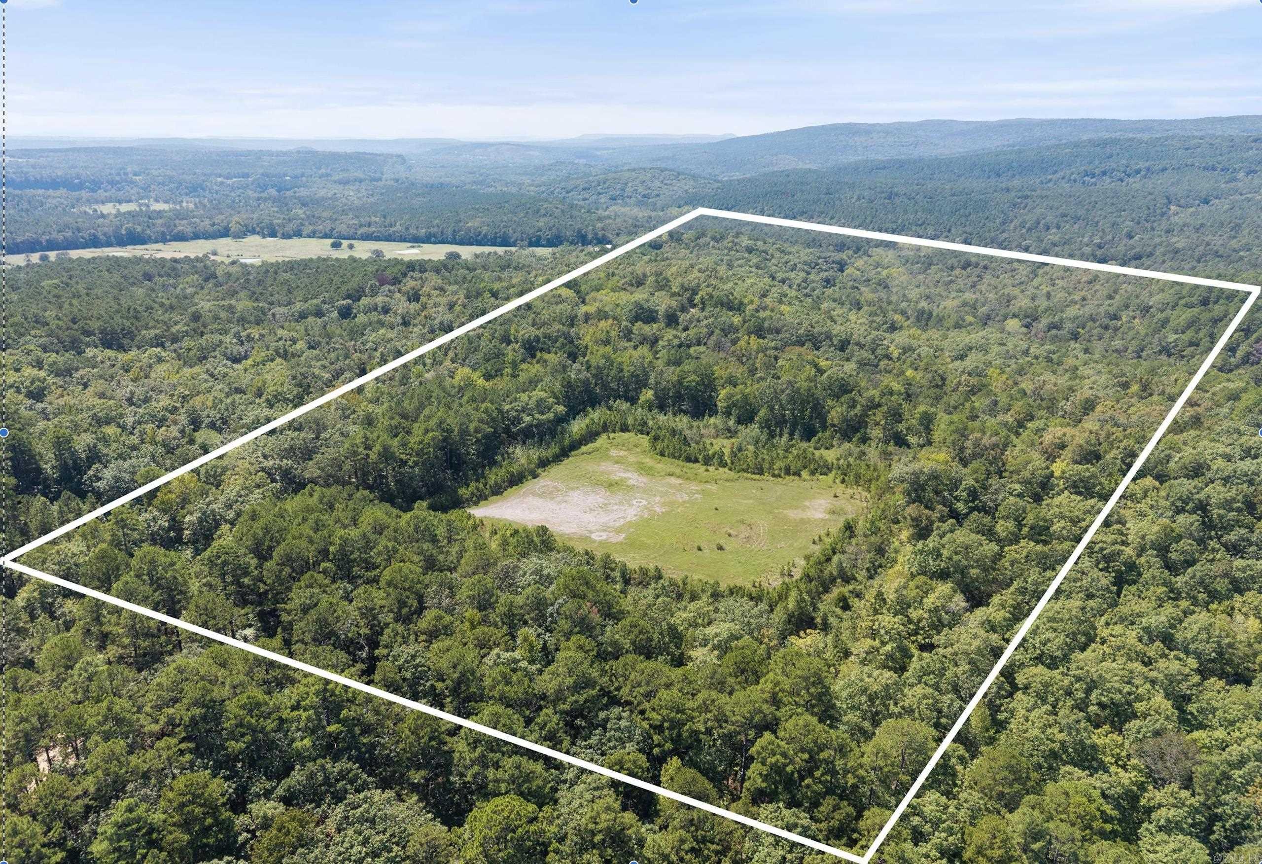 This 80 acre tract is a RARE FIND - (located just outside of HECTOR) almost completely surrounded by the Ozark National Forest and part of it adjoining the Ozark National Forest Wildlife Management Area. Whether you're looking for prime hunting land, a recreational getaway, or a place to build your dream retreat, this property delivers! The land offers a wide variety of terrain, ranging from flat and rolling ground to steeper slopes, making it ideal for both outdoor adventure and diverse wildlife habitat. Deer, turkey and other game are abundant, creating excellent hunting opportunities. Access is convenient with frontage along Granny Gap 1 Road, and the property spans both sides of the road for quite a distance . Electricity is nearby, giving you the option to build a hunting cabin, weekend retreat or full time residence. If you've been searching for a private escape in the heart of the Ozarks, this property provides unmatched seclusion with national forest lands as your backyard. Mineral rights do not convey. Mapping on listing is not correct, please use these coordinates35.509449,-92.990803 Agents: See private remarks