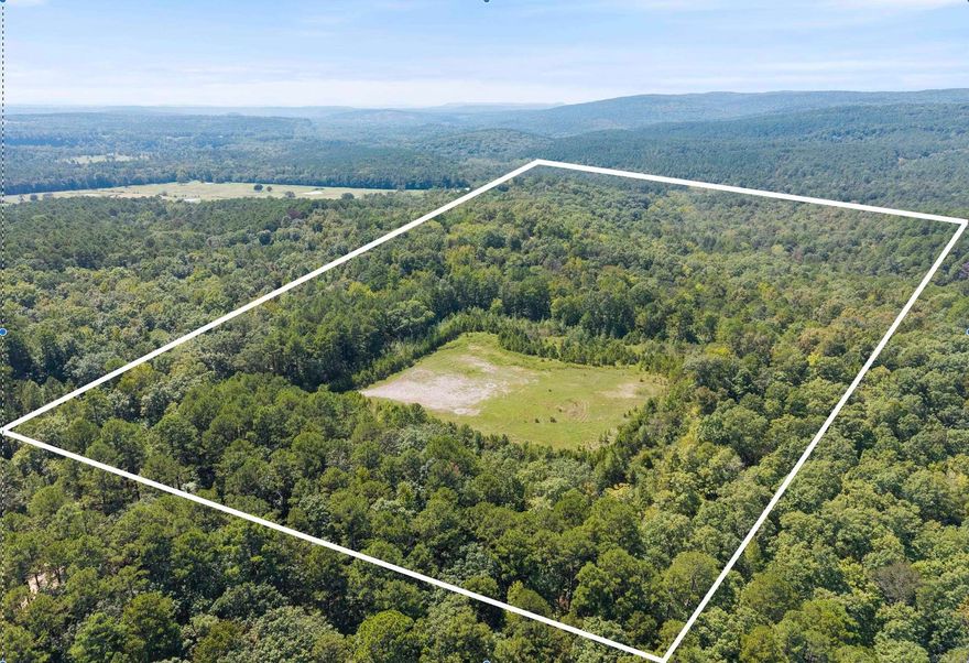 This 80 acre tract is a RARE FIND - (located just outside of HECTOR) almost completely surrounded by the Ozark National Forest and part of it adjoining the Ozark National Forest Wildlife Management Area. Whether you're looking for prime hunting land, a recreational getaway, or a place to build your dream retreat, this property delivers! The land offers a wide variety of terrain, ranging from flat and rolling ground to steeper slopes, making it ideal for both outdoor adventure and diverse wildlife habitat. Deer, turkey and other game are abundant, creating excellent hunting opportunities. Access is convenient with frontage along Granny Gap 1 Road, and the property spans both sides of the road for quite a distance . Electricity is nearby, giving you the option to build a hunting cabin, weekend retreat or full time residence. If you've been searching for a private escape in the heart of the Ozarks, this property provides unmatched seclusion with national forest lands as your backyard. Mineral rights do not convey. Mapping on listing is not correct, please use these coordinates35.509449,-92.990803   Agents: See private remarks