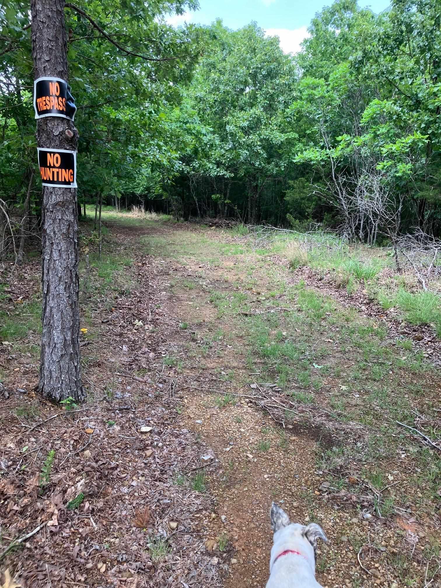 Metes & Bounds - Land