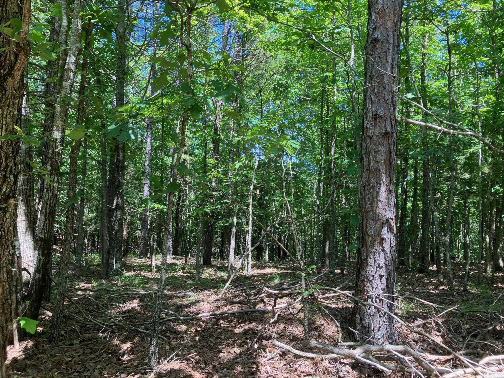 Metes & Bounds - Land