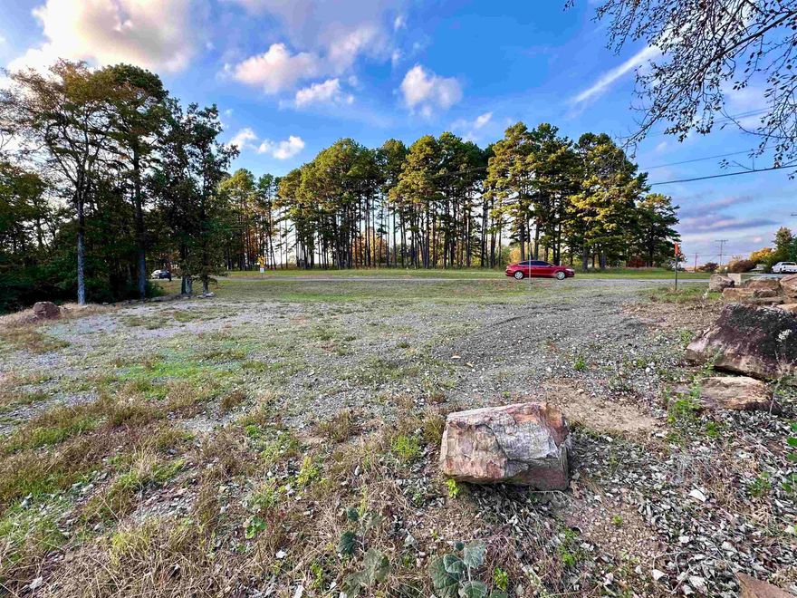 This property is located within walking distance to Greers Ferry Lake access & Peggy Sue's Restaurant. Excellent location for multifamily dwellings or commercial use. Survey available for review in documents. The property can be sold in 2 parcels. The 150 x150 parcel with frontage on Hwy 110 W.  There is a 20' wide alley sepeon the south side of the property. The the buyer could petition the City to close the alley after the purchase.