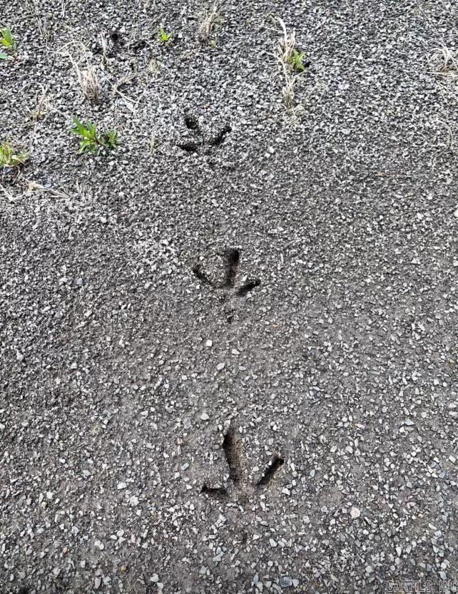 Not in Subdivision - Land