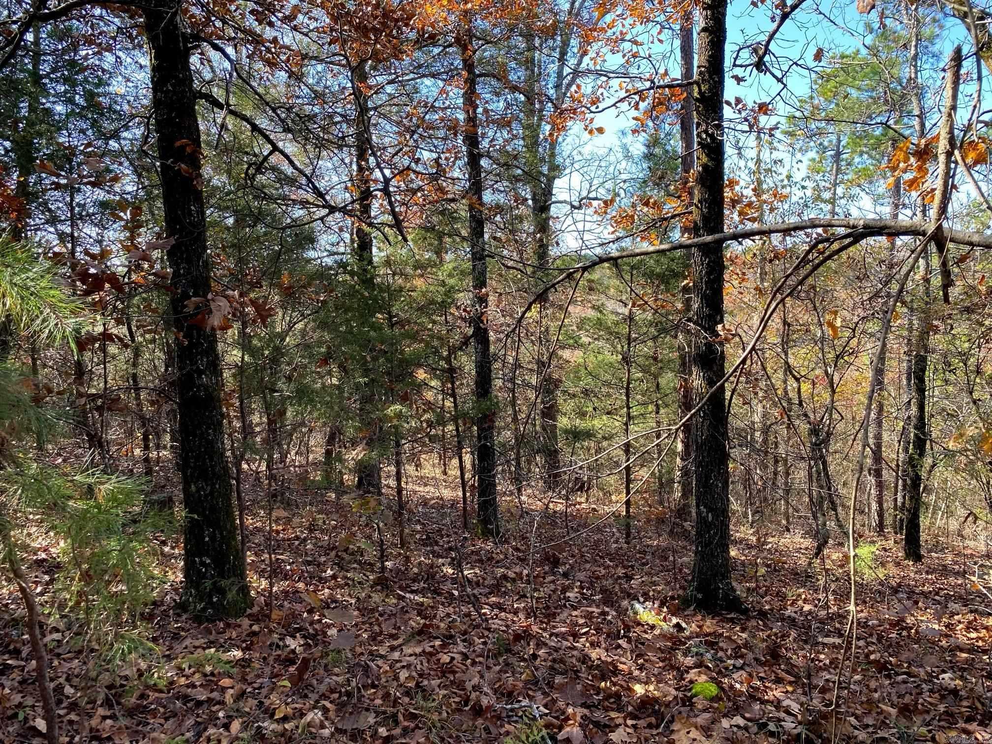 Not in Subdivision - Land