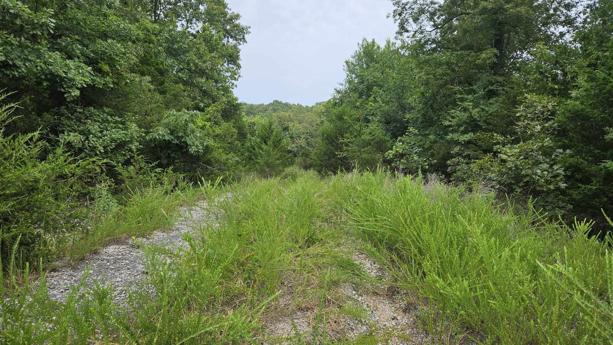 This privately located lot is nestled in a subdivision away from the hustle and bustle but still within a short distance of area amenities such as Diamond Lake. This slopped, wooded, lot houses several oak trees and a wet weather creek, encouraging nature and wildlife to frequent this location. Build a dream home, a cabin, or use the land for sport. It's your dream to make come true on this lot.