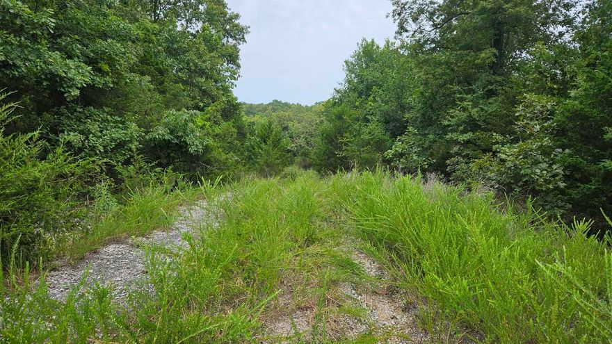 This privately located lot is nestled in a subdivision away from the hustle and bustle but still within a short distance of area amenities such as Diamond Lake. This slopped, wooded, lot houses several oak trees and a wet weather creek, encouraging nature and wildlife to frequent this location. Build a dream home, a cabin, or use the land for sport. It's your dream to make come true on this lot.