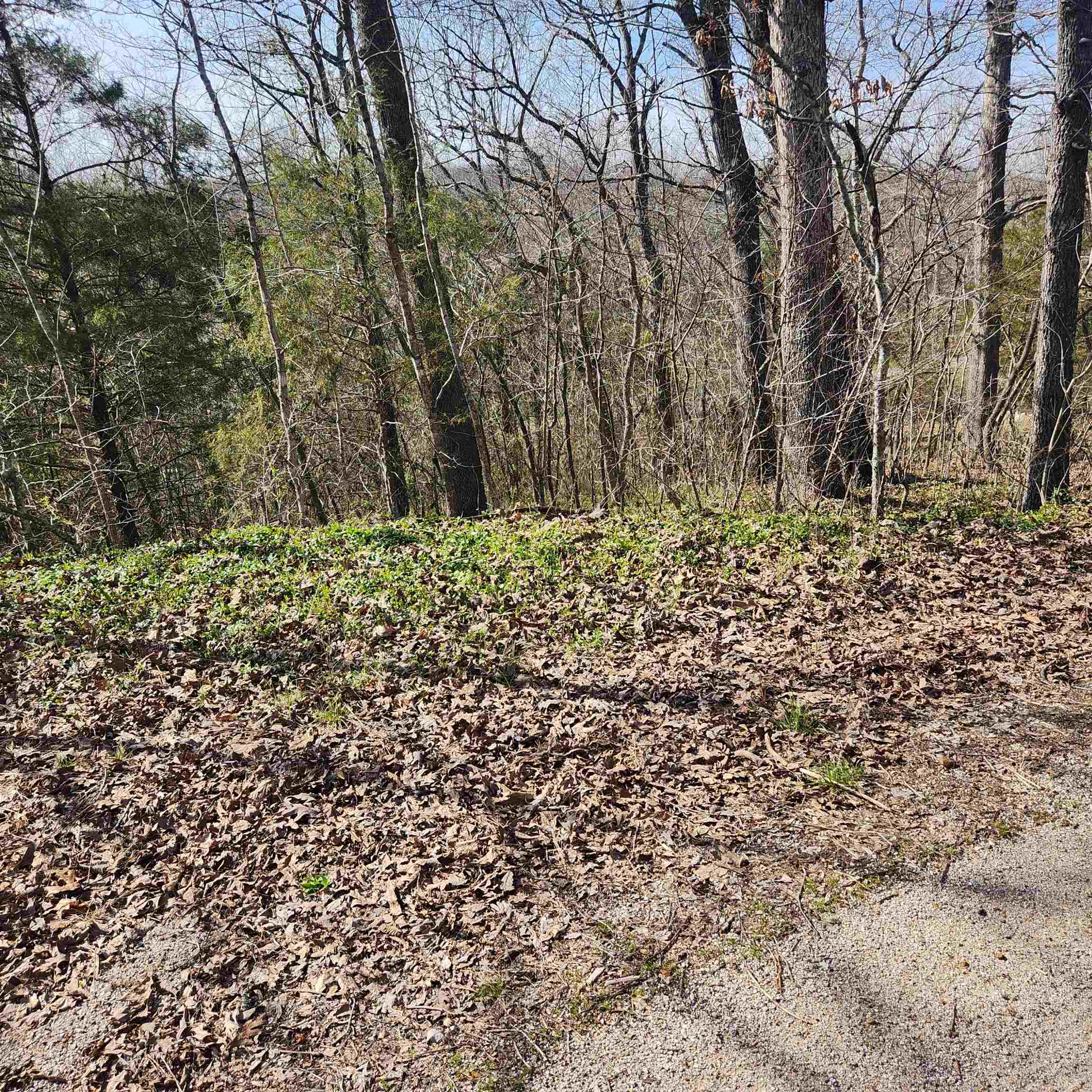 Chickasaw Fourth - Land