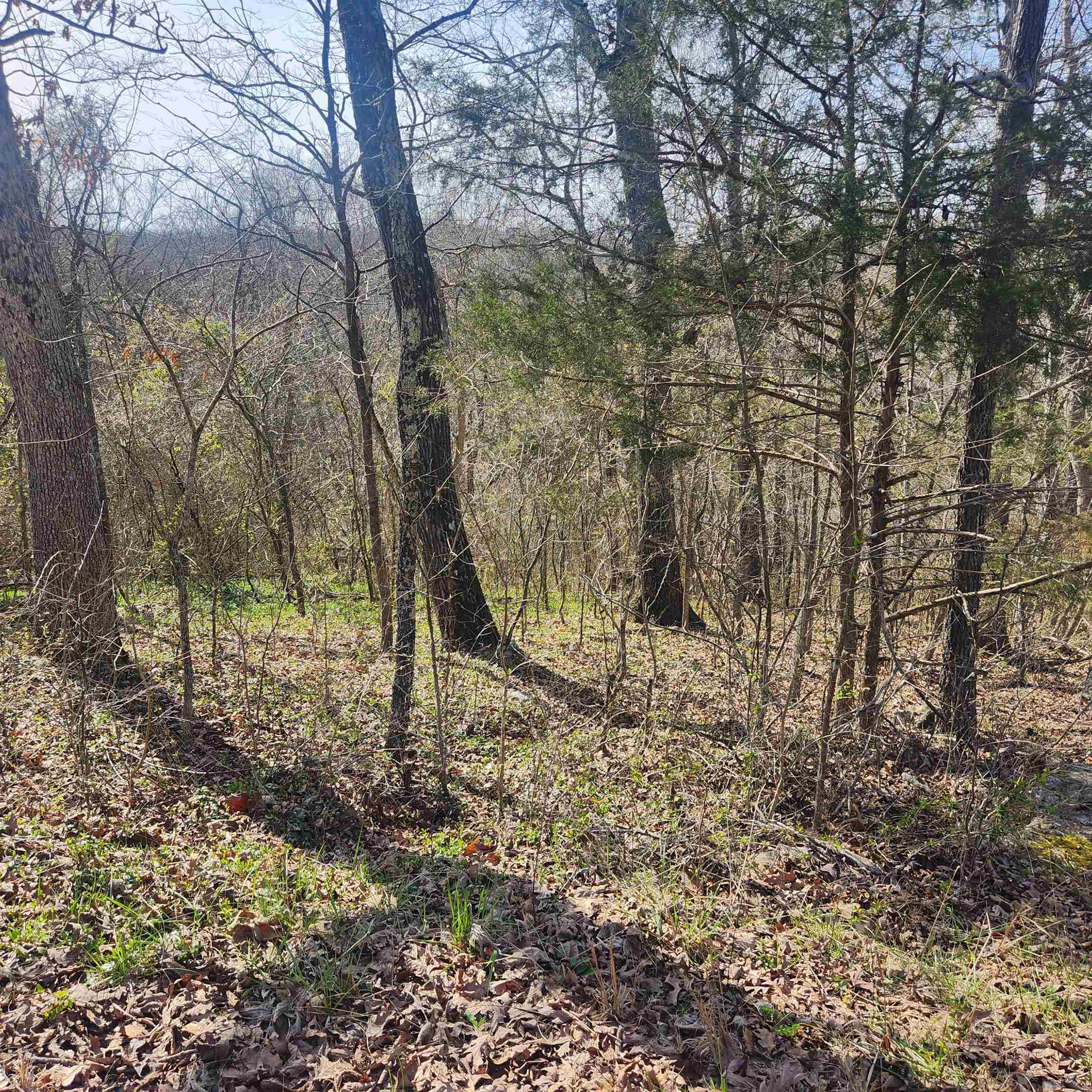 Chickasaw Fourth - Land