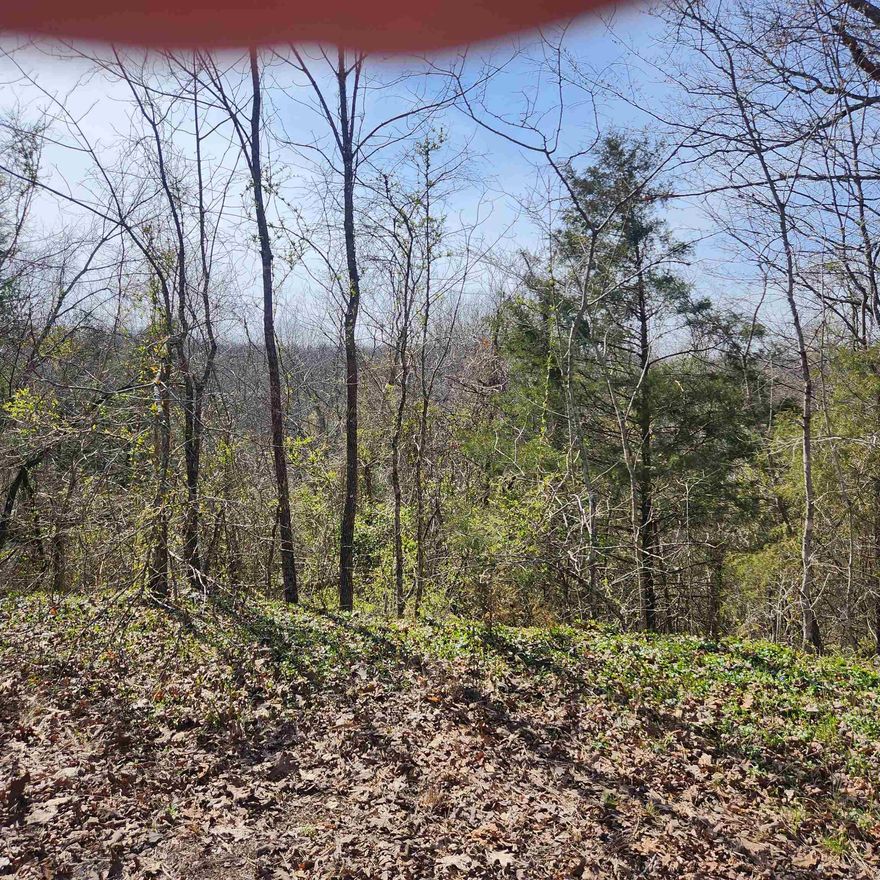 This is a hillside lot with a downhill slope and seasonal views of Lake Sequoyah. Easy access to the 4-lane highway for shopping and dining. This is a nice, wooded lot just waiting for you to come pick the spot you want to build your dream home on. With property ownership comes access to all the amenities of Cherokee Village. 7 Lakes, 2 Golf courses, 2 recreational centers and don't forget about the beautiful Southfork River that meanders right through Cherokee Village.