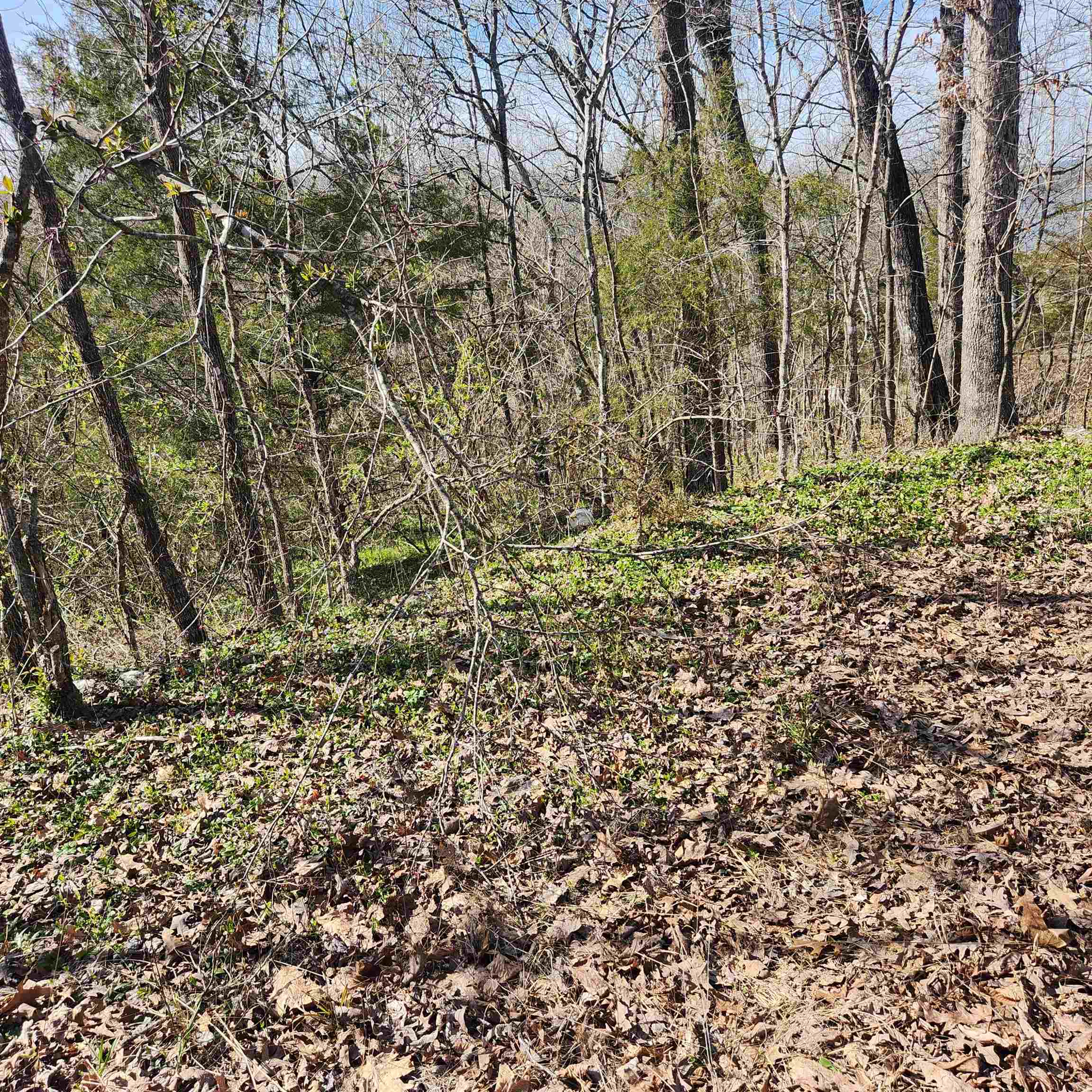 Chickasaw Fourth - Land